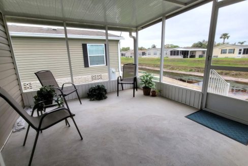 224 Monterey Cypress - sp23