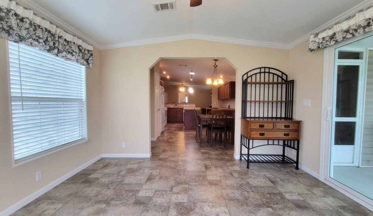 224 Monterey Cypress - sp24