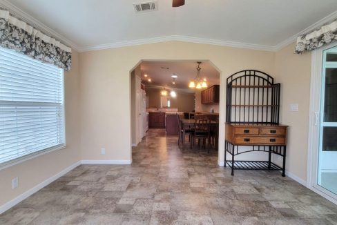 224 Monterey Cypress - sp24
