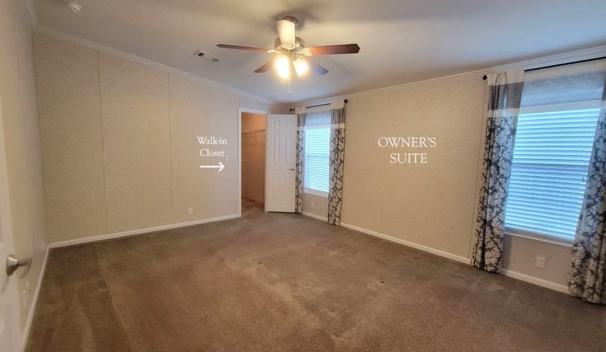 224 Monterey Cypress - sp25