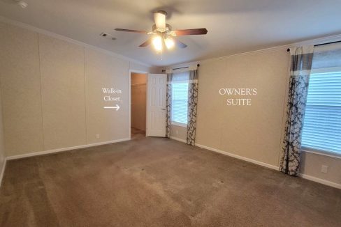 224 Monterey Cypress - sp25