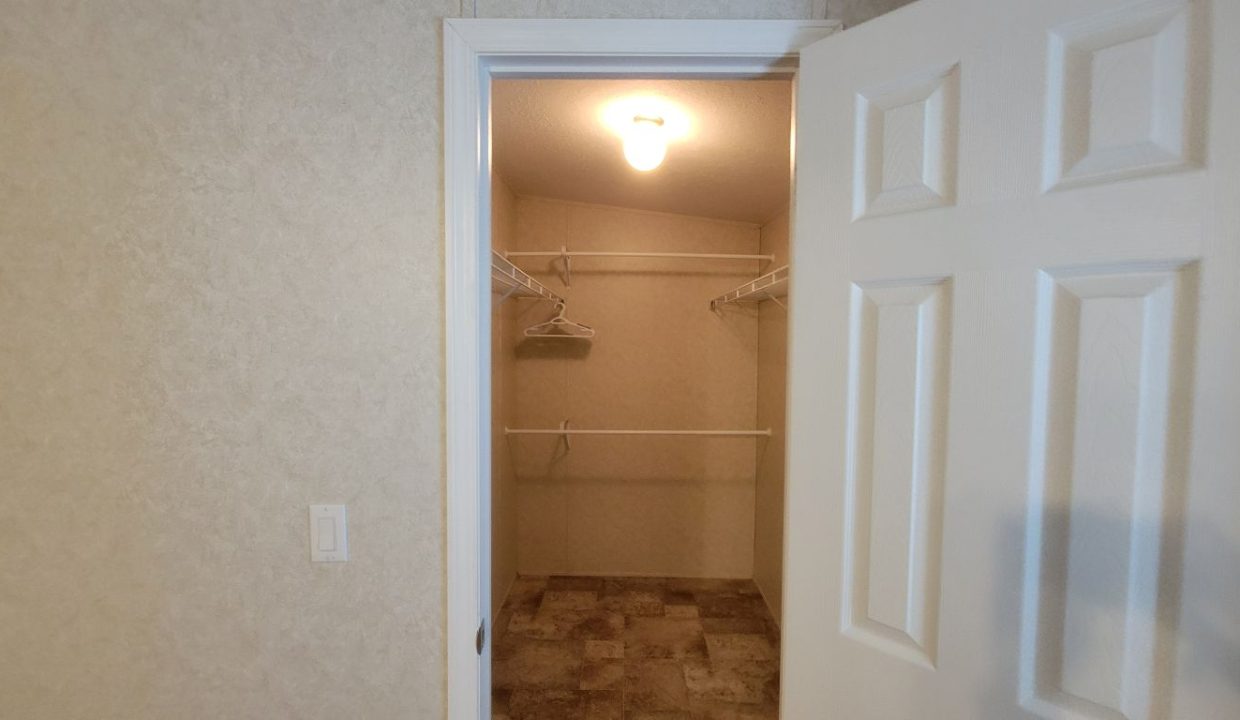 224 Monterey Cypress - sp26