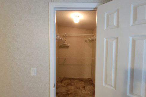 224 Monterey Cypress - sp26