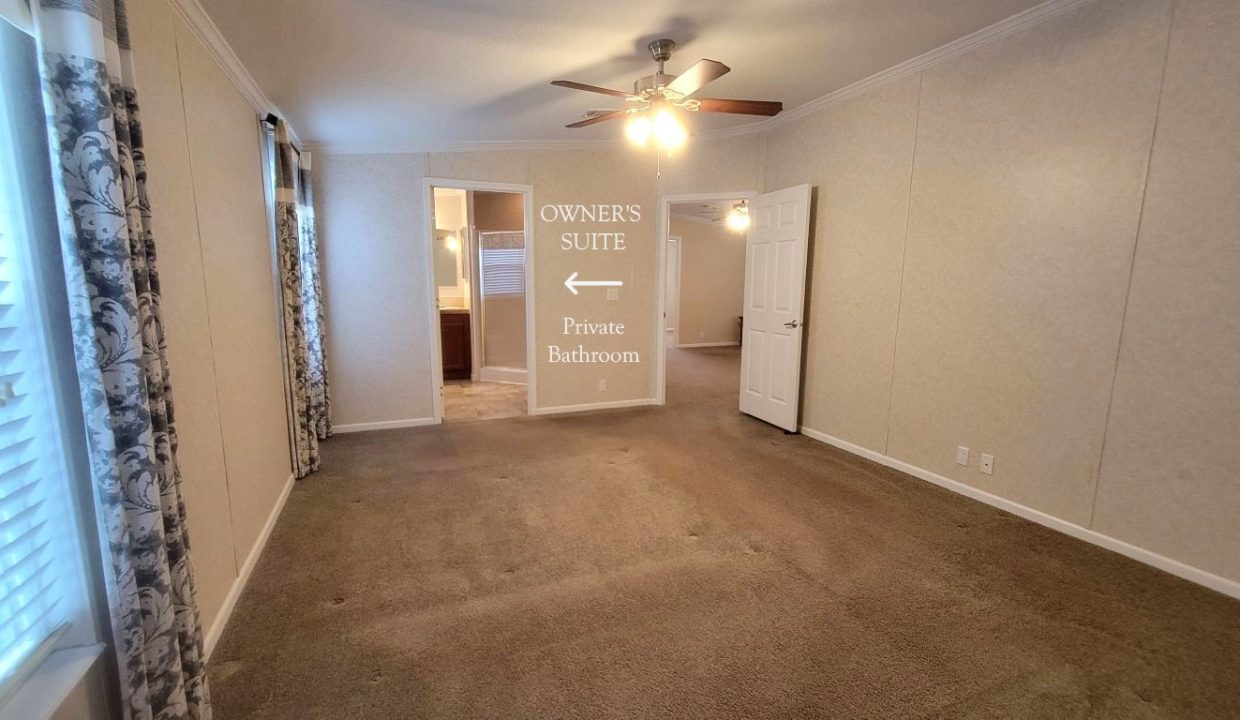 224 Monterey Cypress - sp27