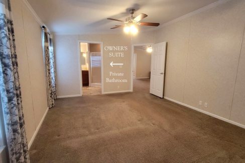 224 Monterey Cypress - sp27