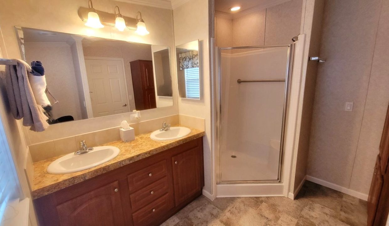 224 Monterey Cypress - sp28
