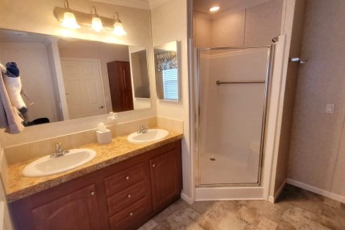 224 Monterey Cypress - sp28