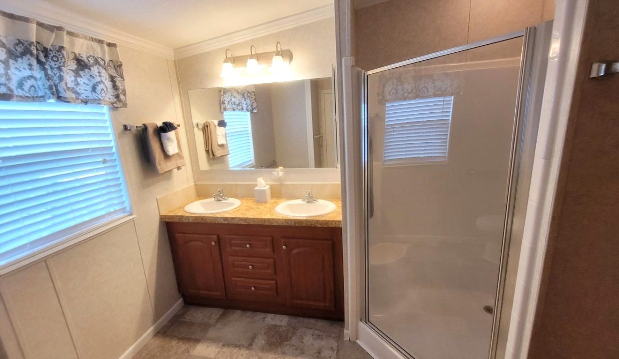 224 Monterey Cypress - sp29