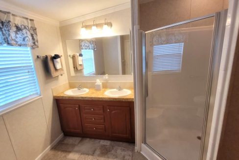 224 Monterey Cypress - sp29