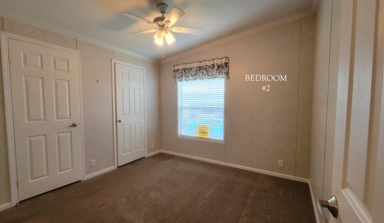 224 Monterey Cypress - sp30