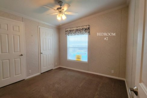 224 Monterey Cypress - sp30