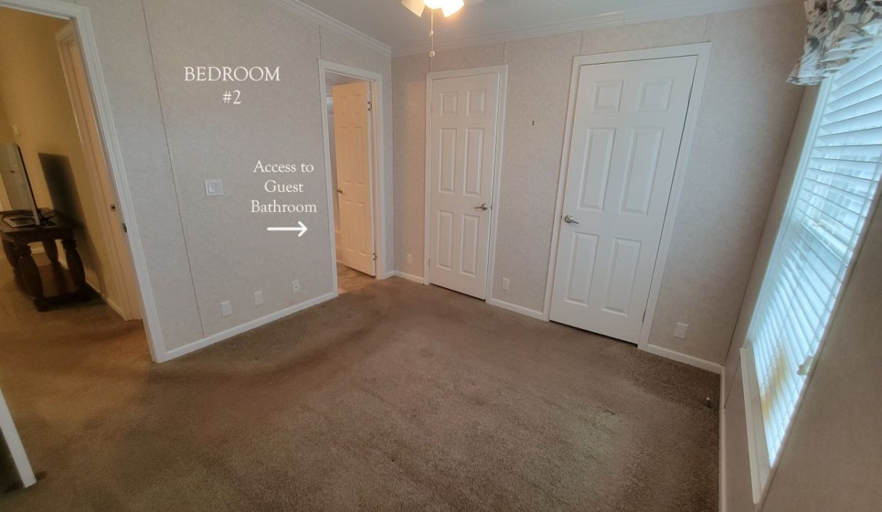 224 Monterey Cypress - sp31