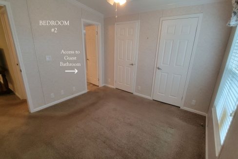 224 Monterey Cypress - sp31