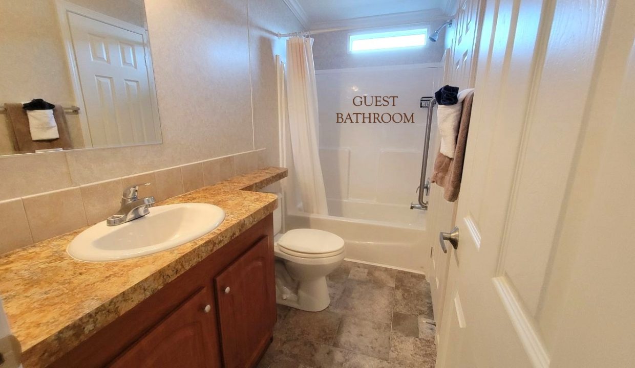 224 Monterey Cypress - sp32