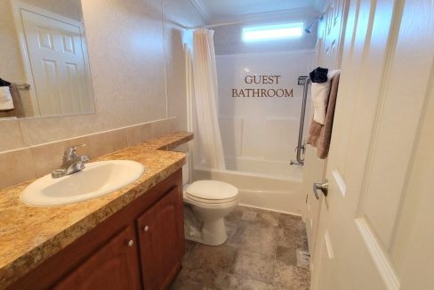 224 Monterey Cypress - sp32