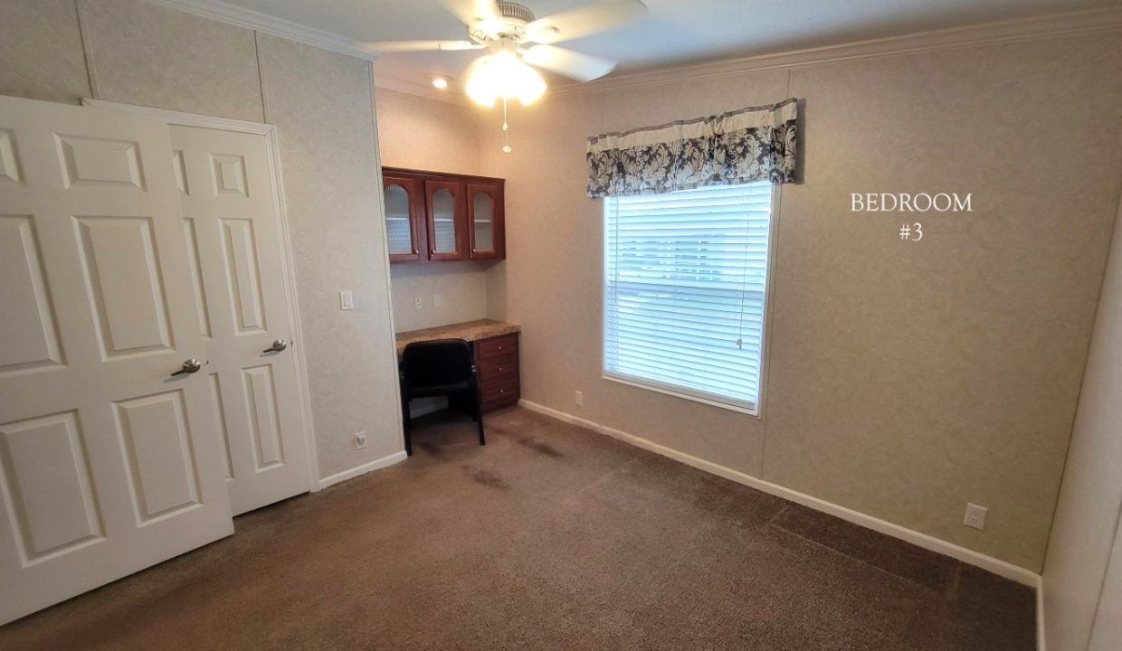 224 Monterey Cypress - sp33