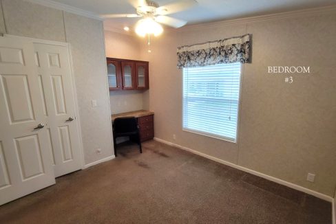 224 Monterey Cypress - sp33