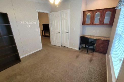 224 Monterey Cypress - sp34