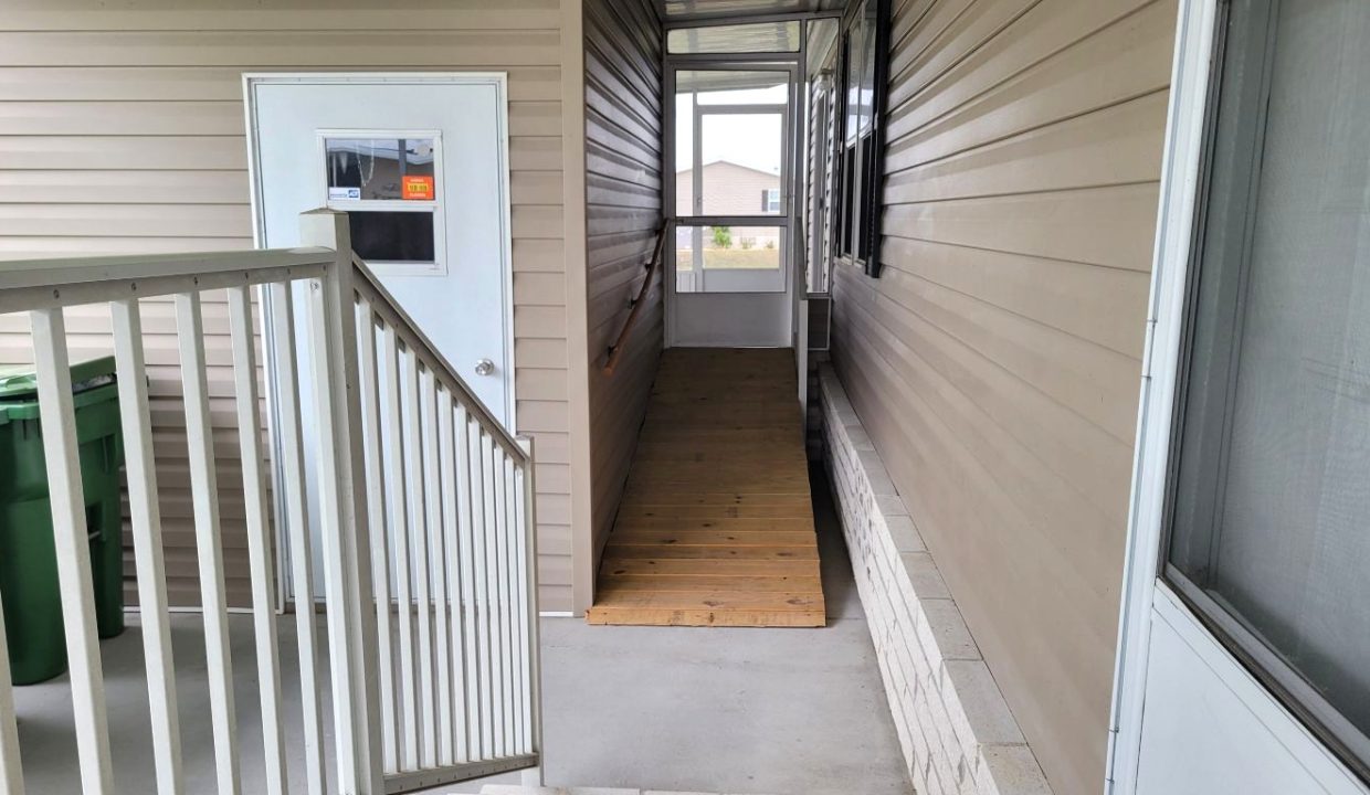 224 Monterey Cypress - sp36