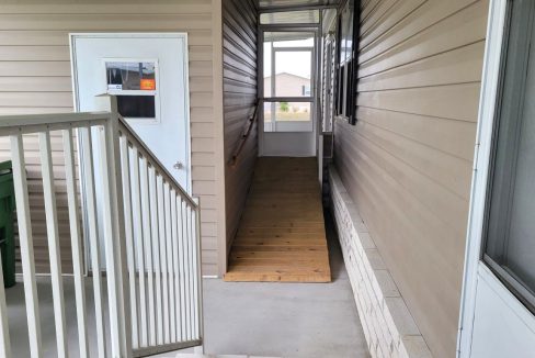 224 Monterey Cypress - sp36