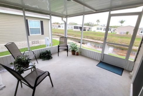 224 Monterey Cypress - sp37