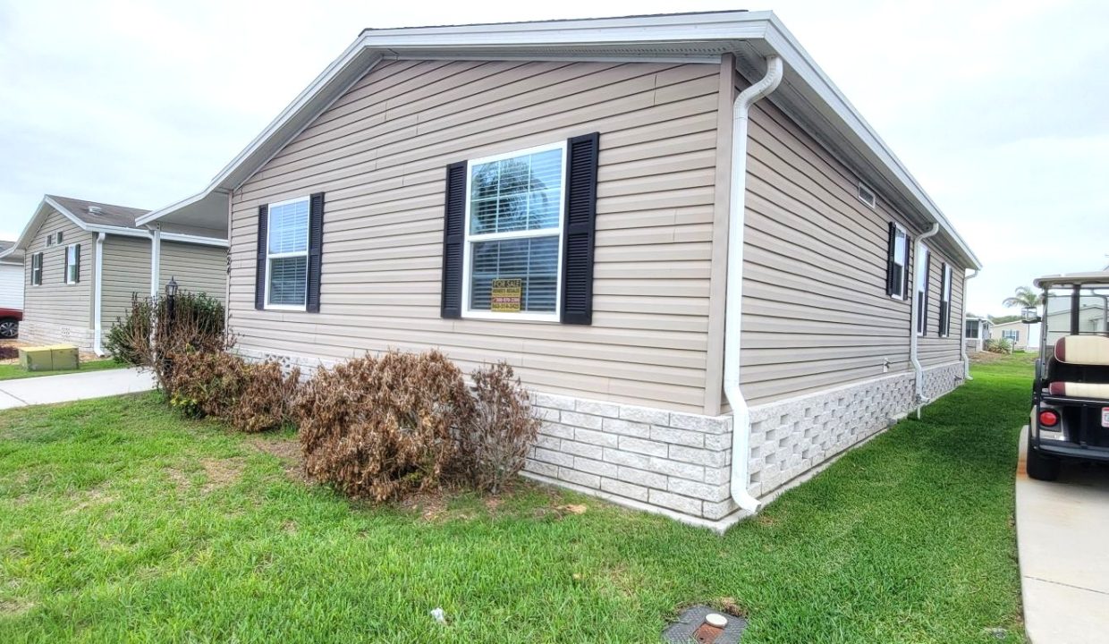 224 Monterey Cypress - sp38