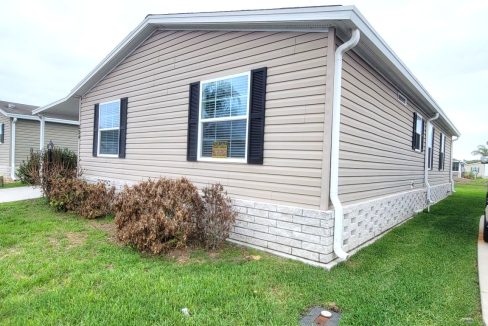 224 Monterey Cypress - sp38
