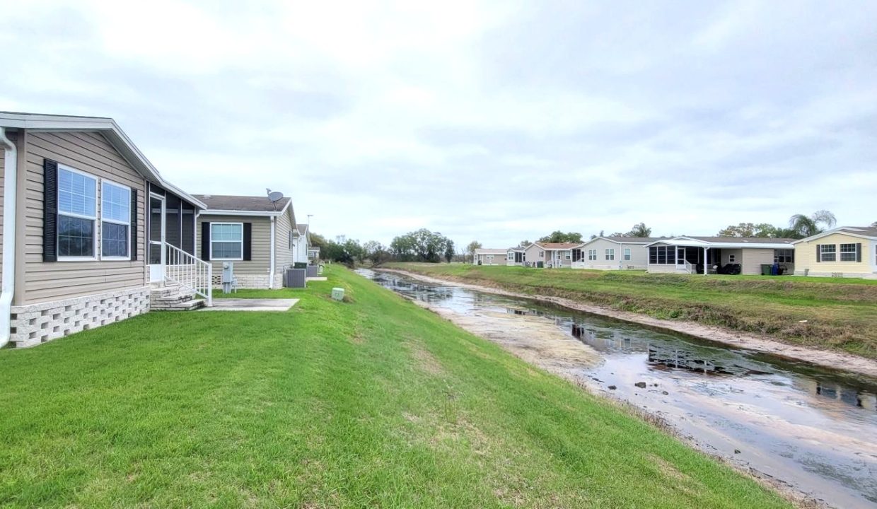 224 Monterey Cypress - sp39
