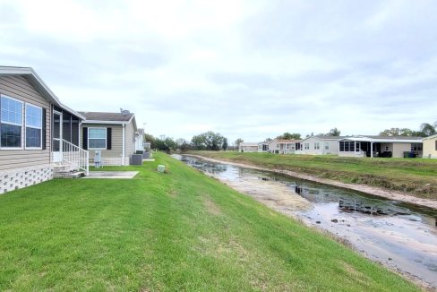 224 Monterey Cypress - sp39