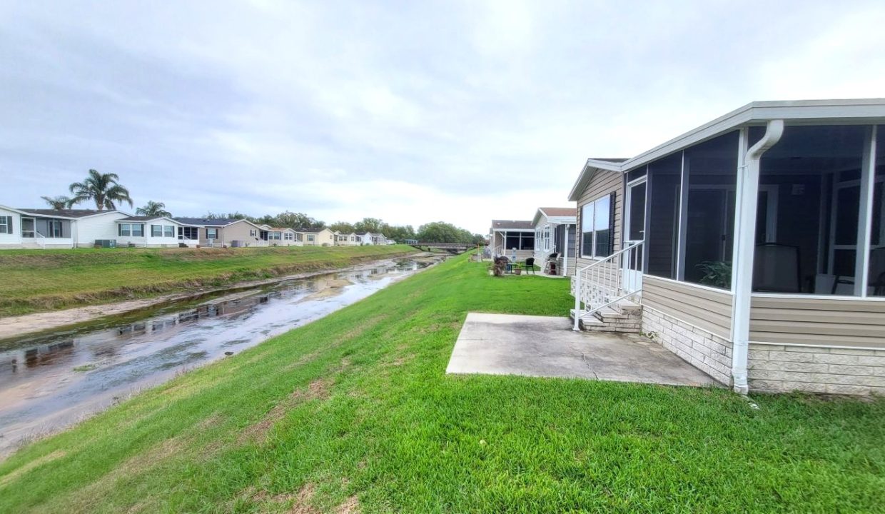 224 Monterey Cypress - sp40