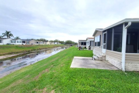 224 Monterey Cypress - sp40